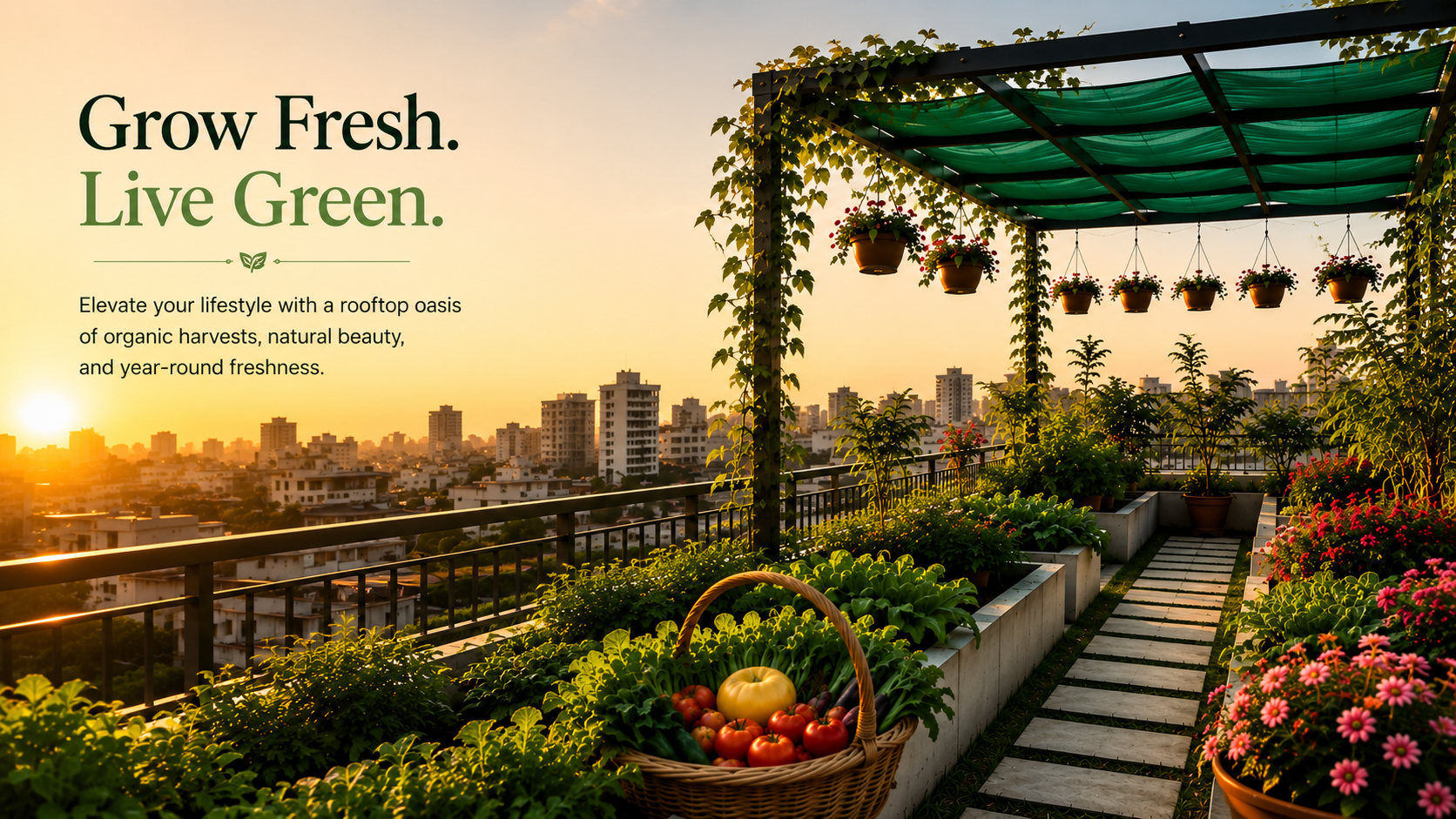 Rooftop Garden 3